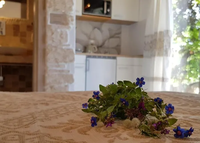 Hébergement de vacances Montilisciu *